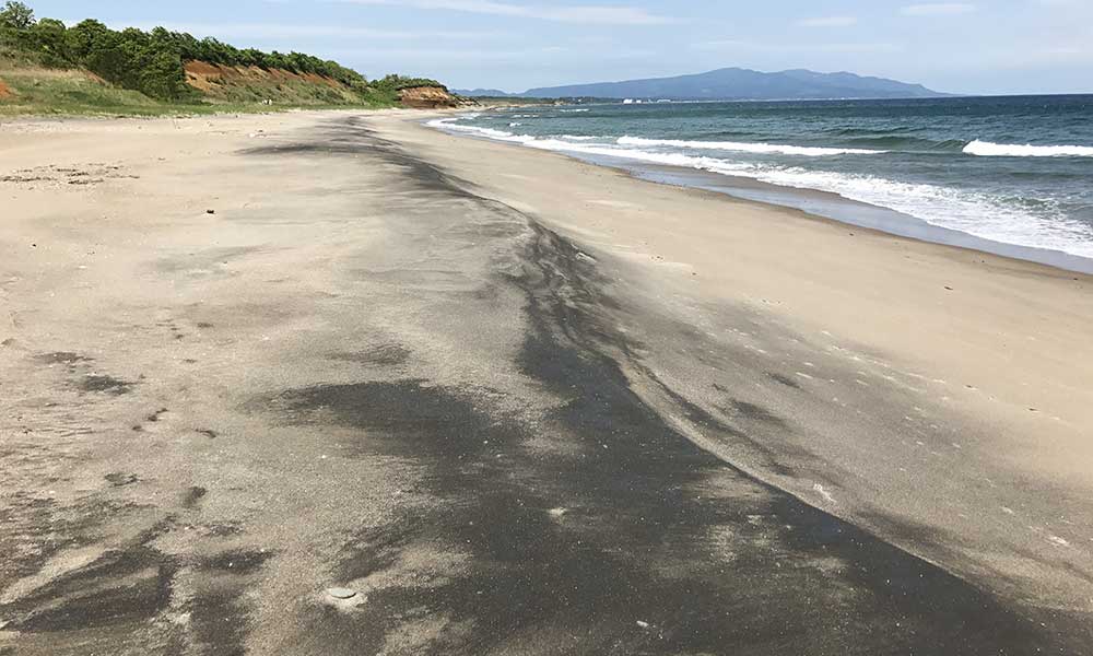 北部海岸の砂浜に堆積した砂鉄